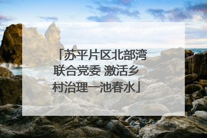 苏平片区北部湾联合党委 激活乡村治理一池春水