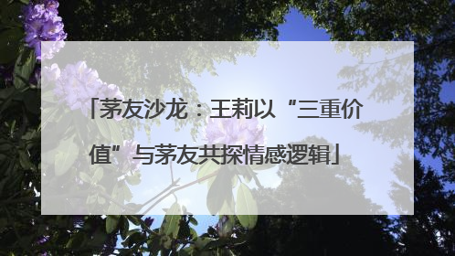 茅友沙龙：王莉以“三重价值”与茅友共探情感逻辑