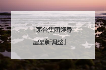 茅台集团领导层最新调整