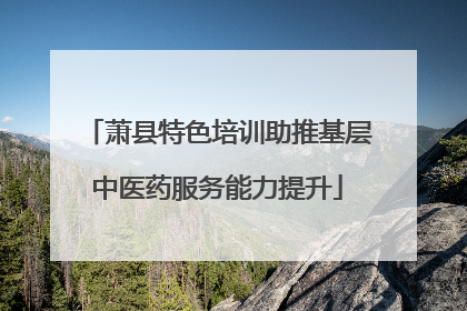 萧县特色培训助推基层中医药服务能力提升