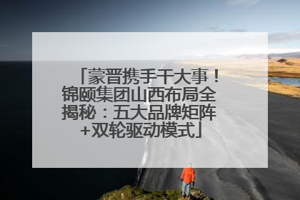 蒙晋携手干大事！锦颐集团山西布局全揭秘：五大品牌矩阵+双轮驱动模式