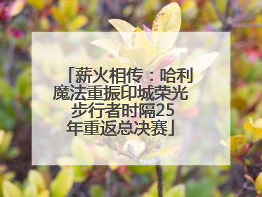薪火相传：哈利魔法重振印城荣光 步行者时隔25年重返总决赛