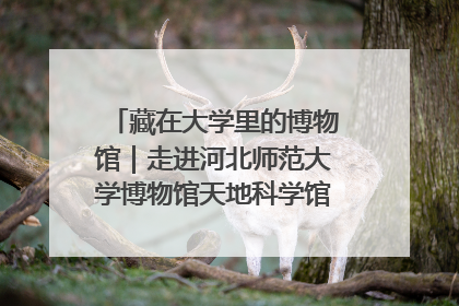 藏在大学里的博物馆｜走进河北师范大学博物馆天地科学馆：在校园里赴一场“宇宙之约”