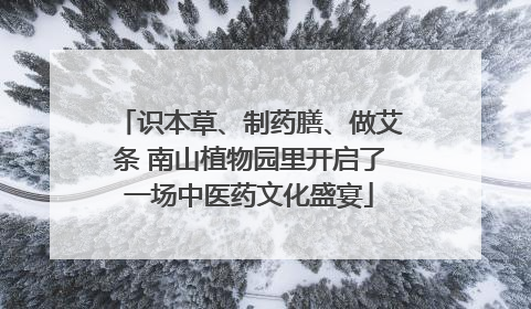 识本草、制药膳、做艾条 南山植物园里开启了一场中医药文化盛宴