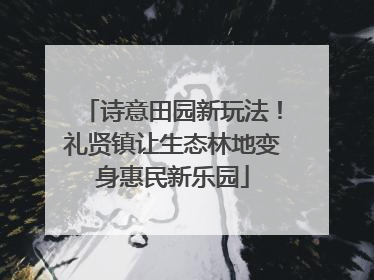 诗意田园新玩法！礼贤镇让生态林地变身惠民新乐园