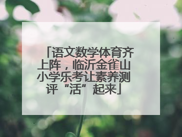 语文数学体育齐上阵，临沂金雀山小学乐考让素养测评“活”起来