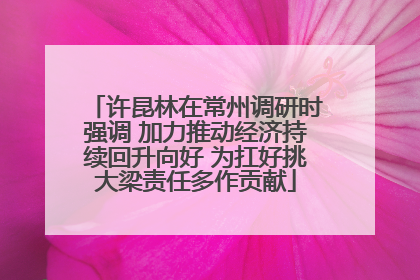 许昆林在常州调研时强调 加力推动经济持续回升向好 为扛好挑大梁责任多作贡献