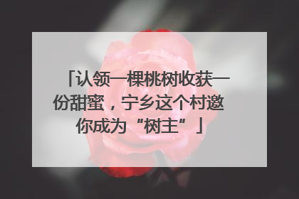 认领一棵桃树收获一份甜蜜，宁乡这个村邀你成为“树主”