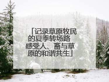 记录草原牧民的夏季转场路 感受人、畜与草原的和谐共生