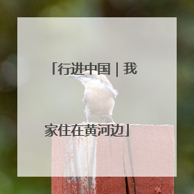 行进中国｜我家住在黄河边
