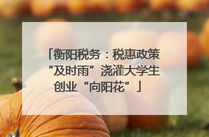 衡阳税务：税惠政策“及时雨”浇灌大学生创业“向阳花”