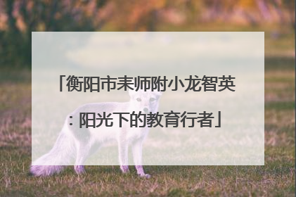 衡阳市耒师附小龙智英：阳光下的教育行者