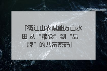 衢江山农赋能万亩水田 从“粮仓”到“品牌”的共富密码