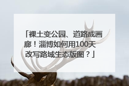 裸土变公园、道路成画廊！淄博如何用100天改写路域生态版图？