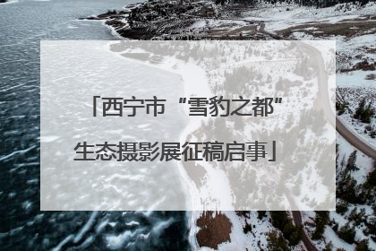 西宁市“雪豹之都”生态摄影展征稿启事