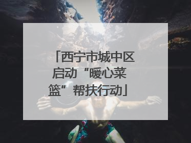 西宁市城中区 启动“暖心菜篮”帮扶行动