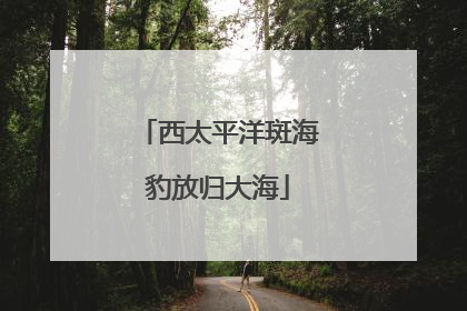 西太平洋斑海豹放归大海
