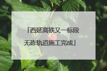 西延高铁又一标段无砟轨道施工完成