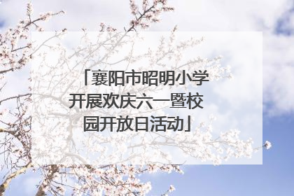 襄阳市昭明小学开展欢庆六一暨校园开放日活动
