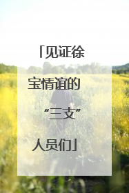 见证徐宝情谊的“三支”人员们