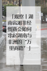 观察丨湖南省湘非经贸商会如何串起湖南与非洲的“万里商路”