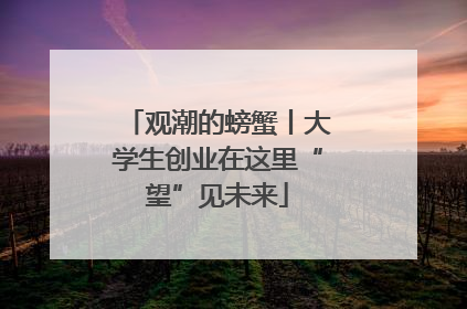 观潮的螃蟹丨大学生创业在这里“望”见未来