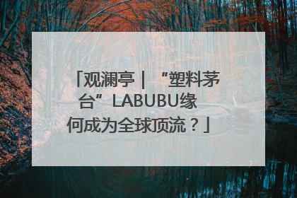 观澜亭｜“塑料茅台”LABUBU缘何成为全球顶流？