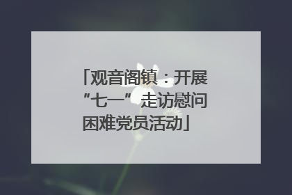 观音阁镇：开展“七一”走访慰问困难党员活动