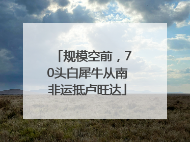 规模空前，70头白犀牛从南非运抵卢旺达