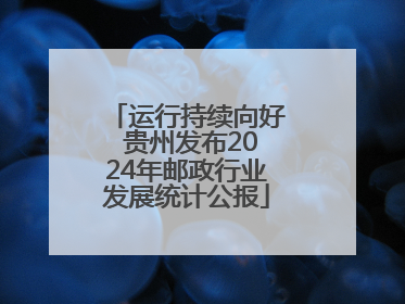 运行持续向好 贵州发布2024年邮政行业发展统计公报