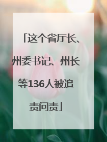 这个省厅长、州委书记、州长等136人被追责问责