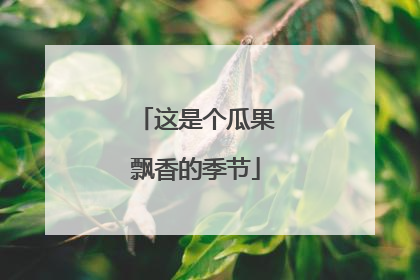 这是个瓜果飘香的季节