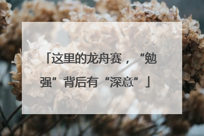 这里的龙舟赛，“勉强”背后有“深意”