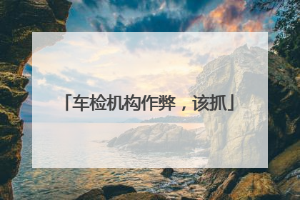 车检机构作弊，该抓