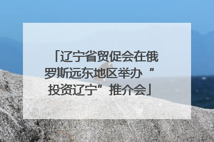 辽宁省贸促会在俄罗斯远东地区举办“投资辽宁”推介会