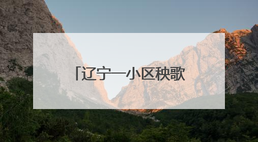 辽宁一小区秧歌舞队发出“禁止他人进入小广场”通知 物业：私自张贴，已撤掉