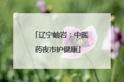 辽宁岫岩：中医药夜市护健康