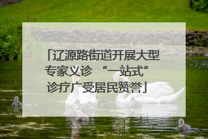 辽源路街道开展大型专家义诊 “一站式”诊疗广受居民赞誉