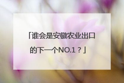 谁会是安徽农业出口的下一个NO.1？