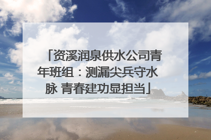 资溪润泉供水公司青年班组：测漏尖兵守水脉 青春建功显担当