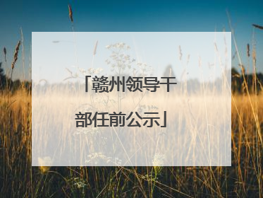 赣州领导干部任前公示