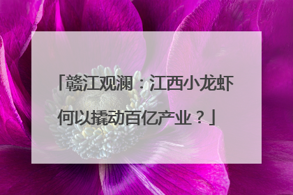 赣江观澜：江西小龙虾何以撬动百亿产业？