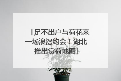 足不出户与荷花来一场浪漫约会！湖北推出赏荷地图