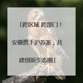 跨区域 跨部门！安徽携手沪苏浙，共建创新生态圈