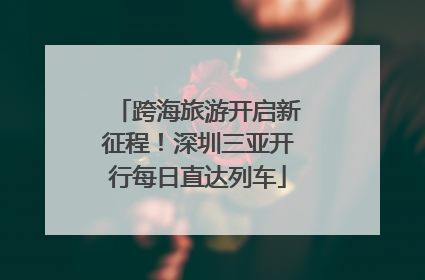 跨海旅游开启新征程！深圳三亚开行每日直达列车