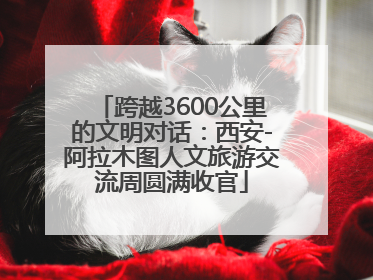 跨越3600公里的文明对话：西安-阿拉木图人文旅游交流周圆满收官
