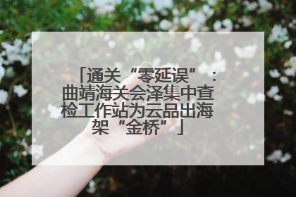 通关“零延误”：曲靖海关会泽集中查检工作站为云品出海架“金桥”