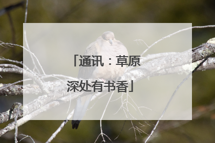 通讯：草原深处有书香