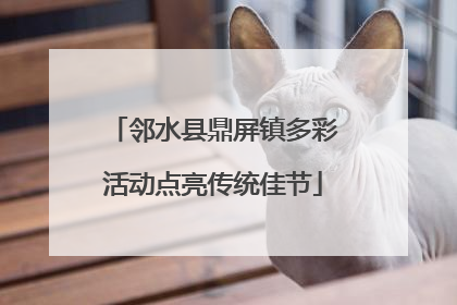 邻水县鼎屏镇多彩活动点亮传统佳节