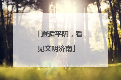 邂逅平阴，看见文明济南